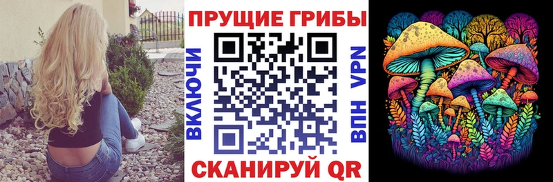 Галлюциногенные грибы Magic Shrooms  Кудымкар 