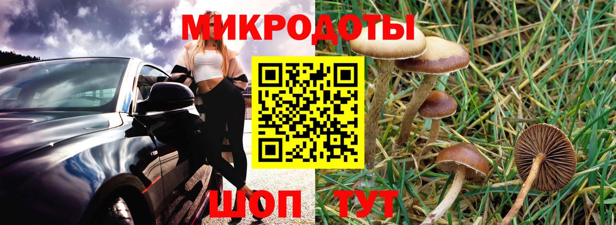Кудымкар  Псилоцибиновые грибы мицелий  Вход с VPN 
